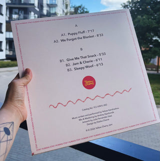 Vinyl session artifact