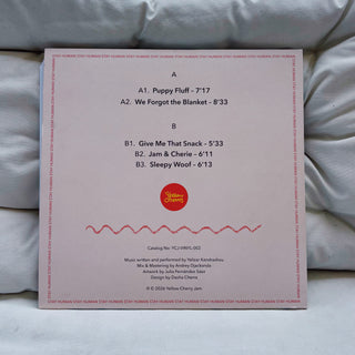 Vinyl Session Artifact