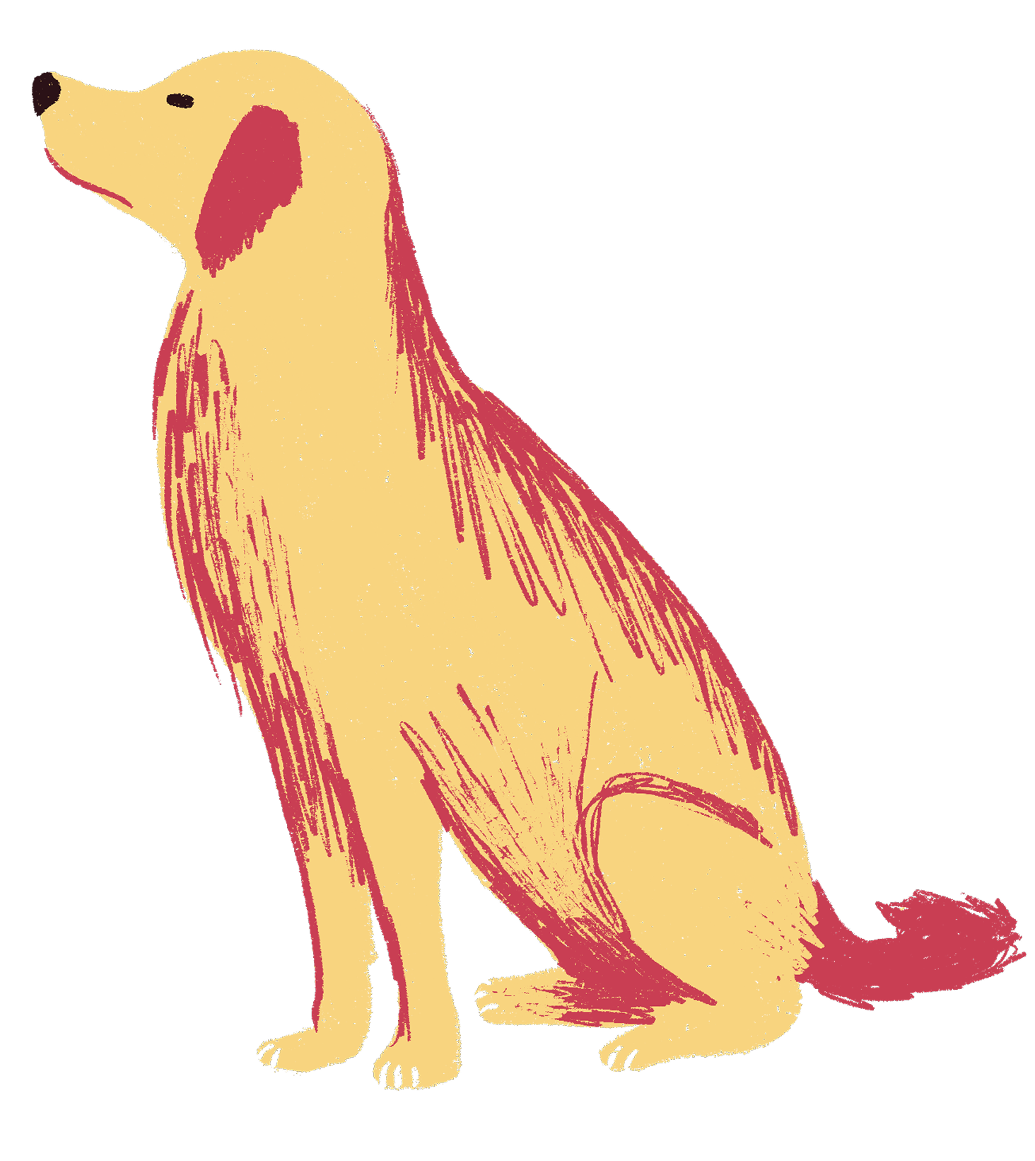 Jam the dog